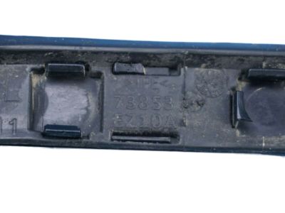 Nissan 73853-EZ10A Moulding-Roof Drip,LH