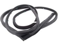 Nissan 90830-CA010 Back Door Weatherstrip