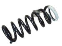 Nissan Titan Coil Springs - 54010-ZR40A Front Spring