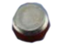 Nissan 32103-3JA0A Plug-Drain