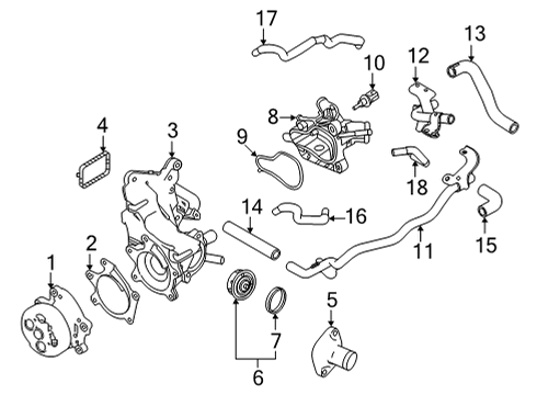 Cover-Water Pump Diagram for 21013-6RA0A