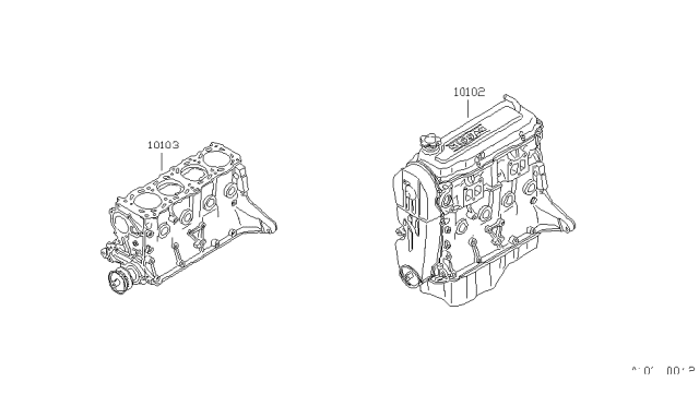 1987 Nissan Stanza Bare & Short Engine Diagram