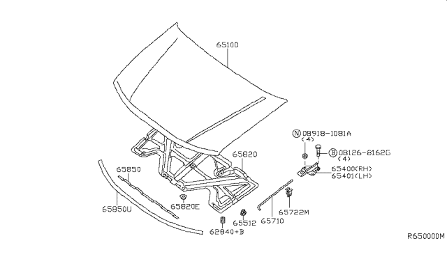 2005 Nissan Pathfinder Hood Panel,Hinge & Fitting Diagram