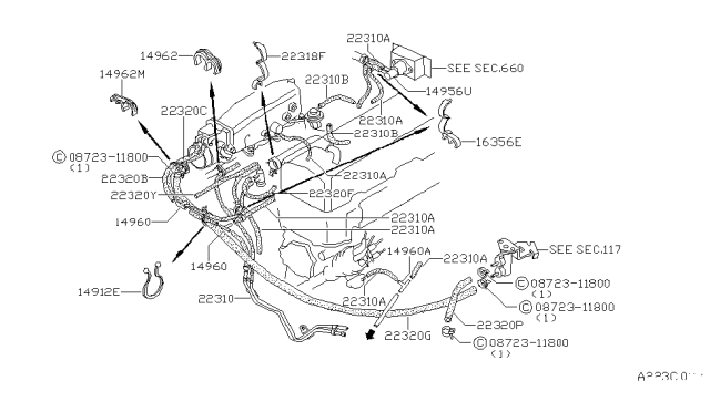 1981 Nissan 200SX Engine Control Vacuum Piping Diagram 4