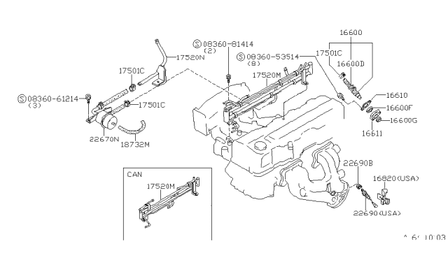 1982 Nissan 200SX Tube Fuel Diagram for 17520-N8560