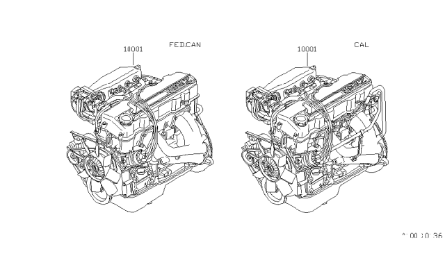 1981 Nissan 200SX Engine Assembly Diagram 1
