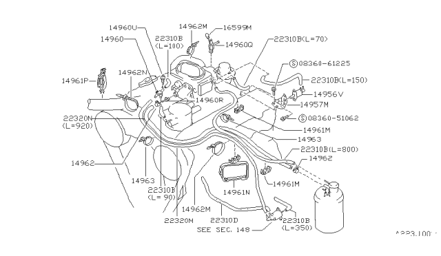 1989 Nissan Hardbody Pickup (D21) Engine Control Vacuum Piping Diagram 2