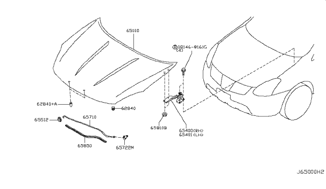 2015 Nissan Rogue Hood Panel,Hinge & Fitting Diagram