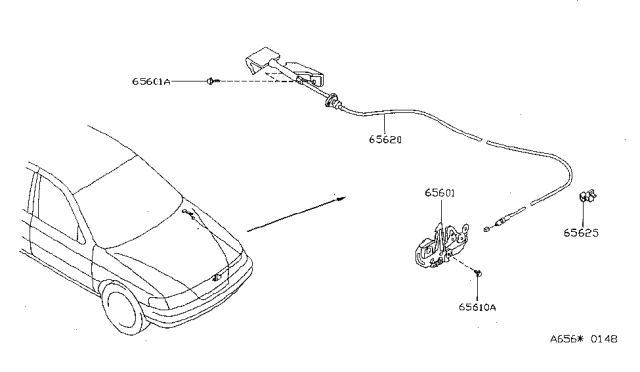 1995 Nissan Sentra Cable Hood Lock Diagram for 65620-F4300