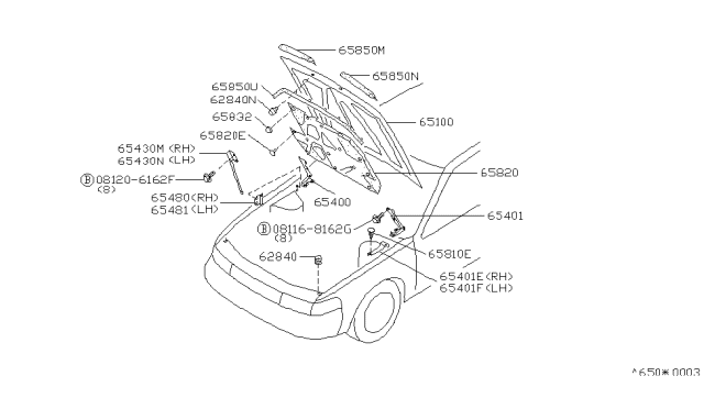 1991 Nissan Maxima Protector Assembly-Hood Front LH Diagram for 65811-88E00