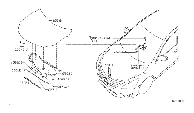 2015 Nissan Sentra Hood Panel,Hinge & Fitting Diagram