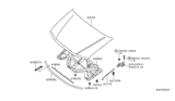 Diagram for 2005 Nissan Frontier Lift Support - 65770-EA000