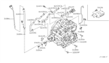 Diagram for 2006 Nissan Altima Oil Cooler Hose - 21621-9J300