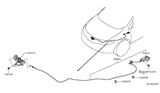 Diagram for 2014 Nissan Murano Hood Cable - 65621-1AA0A