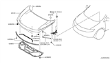 Diagram for 2010 Nissan Murano Hood - FEA0M-1AAMA