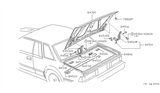 Diagram for 1983 Nissan 200SX Weather Strip - 84830-N8200