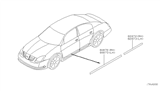 Diagram for 2007 Nissan Maxima Door Moldings - 82871-7Y900