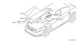 Diagram for 2008 Nissan Maxima Hood Hinge - 65401-7Y000