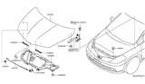 Diagram for 2009 Nissan Versa Hood Hinge - 65400-ED00A