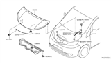 Diagram for 2017 Nissan NV Hood - FEA00-3LMMC