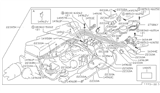 Diagram for 1983 Nissan Sentra EGR Valve - 14958-H9800