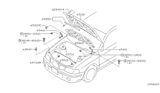 Diagram for 2002 Nissan Sentra Lift Support - 65771-4Z400