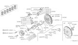 Diagram for 1995 Nissan Hardbody Pickup (D21U) Crankshaft Gear - 13021-0B700