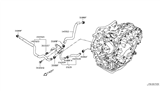 Diagram for 2014 Nissan Juke Oil Cooler Hose - 21622-BV80B