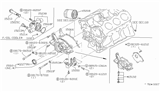 Diagram for Nissan Hardbody Pickup (D21) Oil Pump Gasket - 15066-V5000