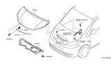 Diagram for 2014 Nissan NV Hood - FEA00-3LNMA