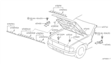 Diagram for Nissan Pathfinder Hood - F5100-2W6CM