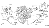 Diagram for 2014 Nissan GT-R Cooling Hose - 14055-JF00A