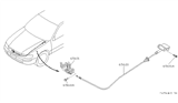 Diagram for 1995 Nissan Maxima Hood Cable - 65620-40U05