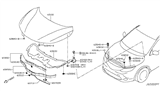 Diagram for 2017 Nissan Rogue Sport Weather Strip - 65820-DF30A