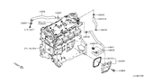 Diagram for 2019 Nissan Altima PCV Hose - 11826-6CA1C