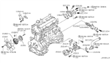 Diagram for Nissan Water Pump Gasket - 21014-EA010