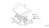 Diagram for 2019 Nissan Frontier Hood - 65100-9BP0A