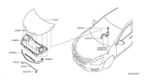 Diagram for Nissan Hood Hinge - 65401-3TA0A