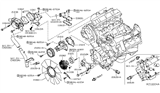 Diagram for 2019 Nissan Titan Thermostat Gasket - 11062-EZ30A