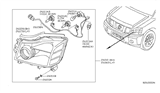 Diagram for 2006 Nissan Titan Light Socket - 26242-ZC00A