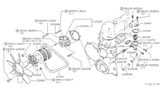 Diagram for 1979 Nissan 280ZX Fuel Line Clamps - 01555-00021