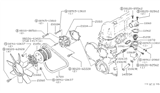 Diagram for 1980 Nissan Datsun 810 Fuel Line Clamps - 01555-00021