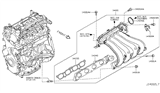 Diagram for 2009 Nissan Cube Intake Manifold Gasket - 14035-ED800