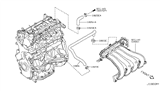 Diagram for 2011 Nissan Cube PCV Hose - 11826-EN201