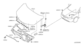 Diagram for Nissan Rogue Lift Support - 65771-4BA0A