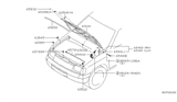 Diagram for 2000 Nissan Xterra Hood - F5100-8B430