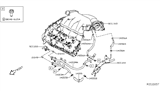 Diagram for 2017 Nissan Pathfinder Cooling Hose - 14055-JA10B