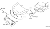 Diagram for 2020 Nissan Pathfinder Lift Support - 65770-9PJ0A