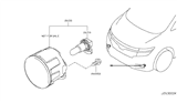 Diagram for 2012 Nissan Quest Fog Light Bulb - 26296-8991D