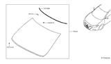 Diagram for 2016 Nissan Maxima Windshield - 72700-4RA0A